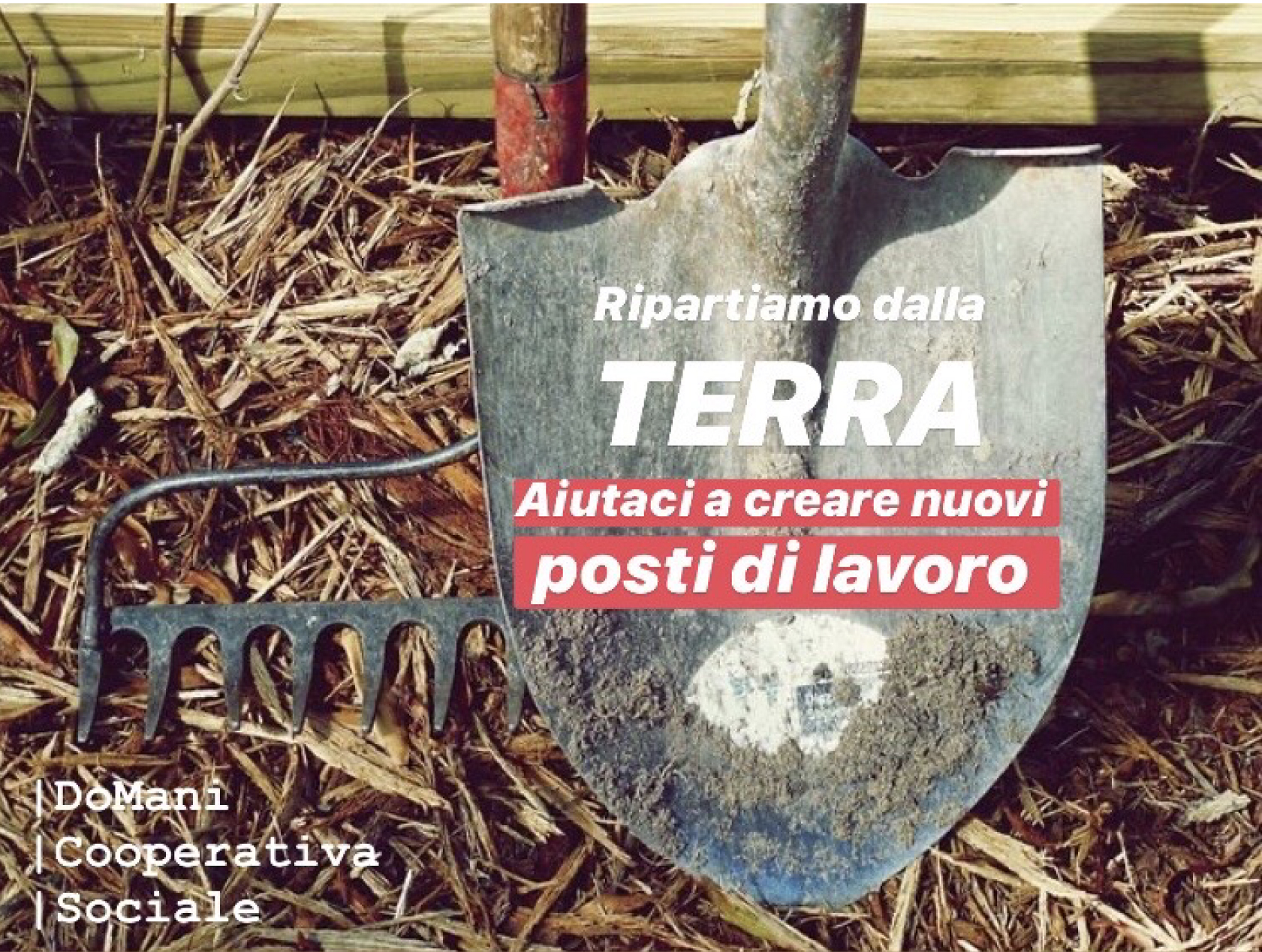 AgriLavoro con DoMani: un progetto di agricoltura sociale e sostenibile all'Eremo di Ronzano