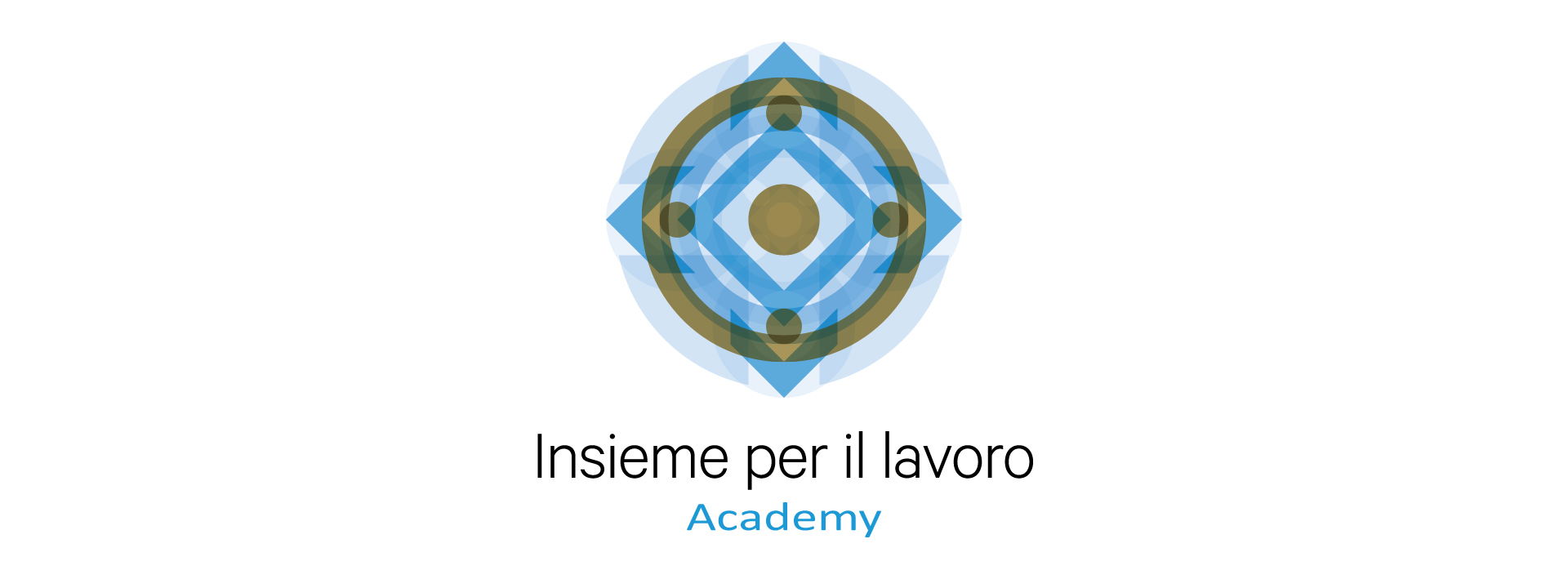 Insieme per il lavoro Academy