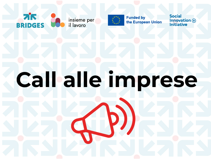 banner grafico con titolo "call alle imprese", logo del progetto europeo Bridges to employment, logo Insieme per il lavoro, logo Cofinanziato dall'Unione Europea, logo Presidenza del Consiglio dei Ministri